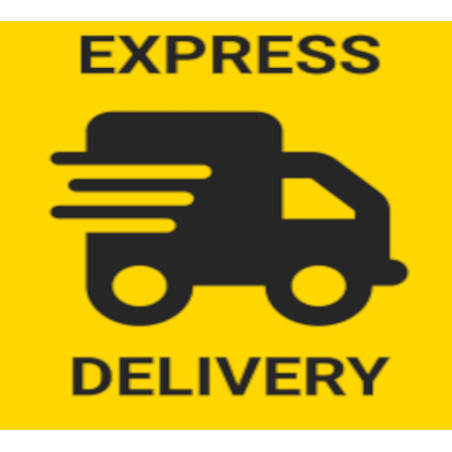 Express Delivery